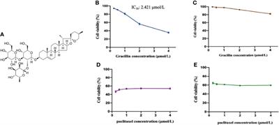 Gracillin Shows Potential Efficacy Against Non-Small Cell Lung Cancer Through Inhibiting the mTOR Pathway